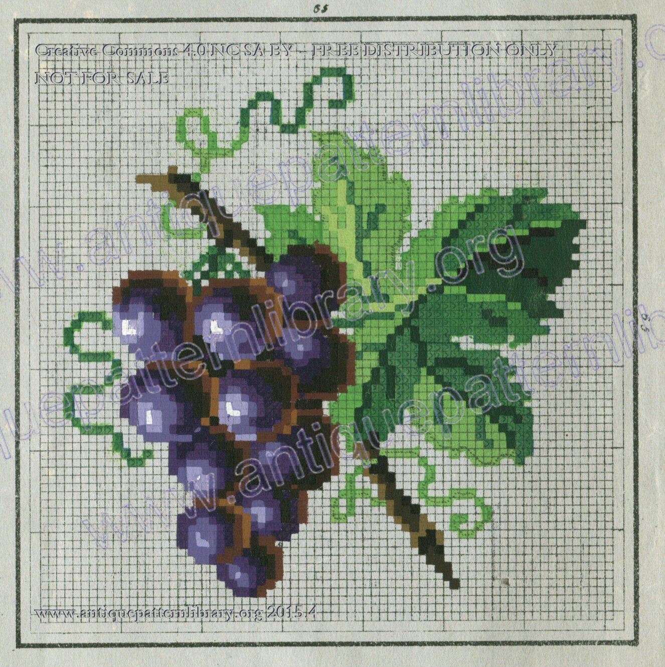 F-MB004 Grapes